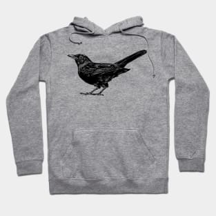 Blackbird Hoodie